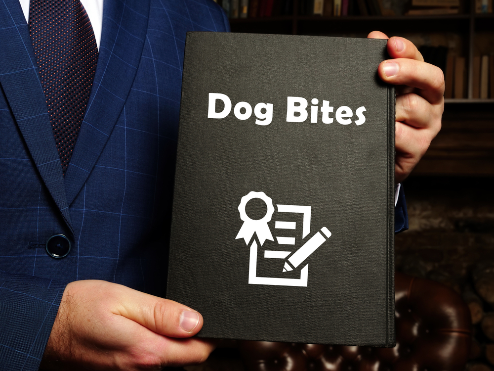 Dog Bite Lawyers
