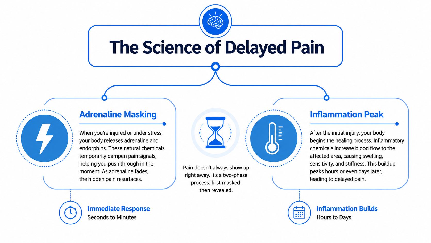 An infographic explaining the science of delayed pain through adrenaline masking and the inflammation peak process.
