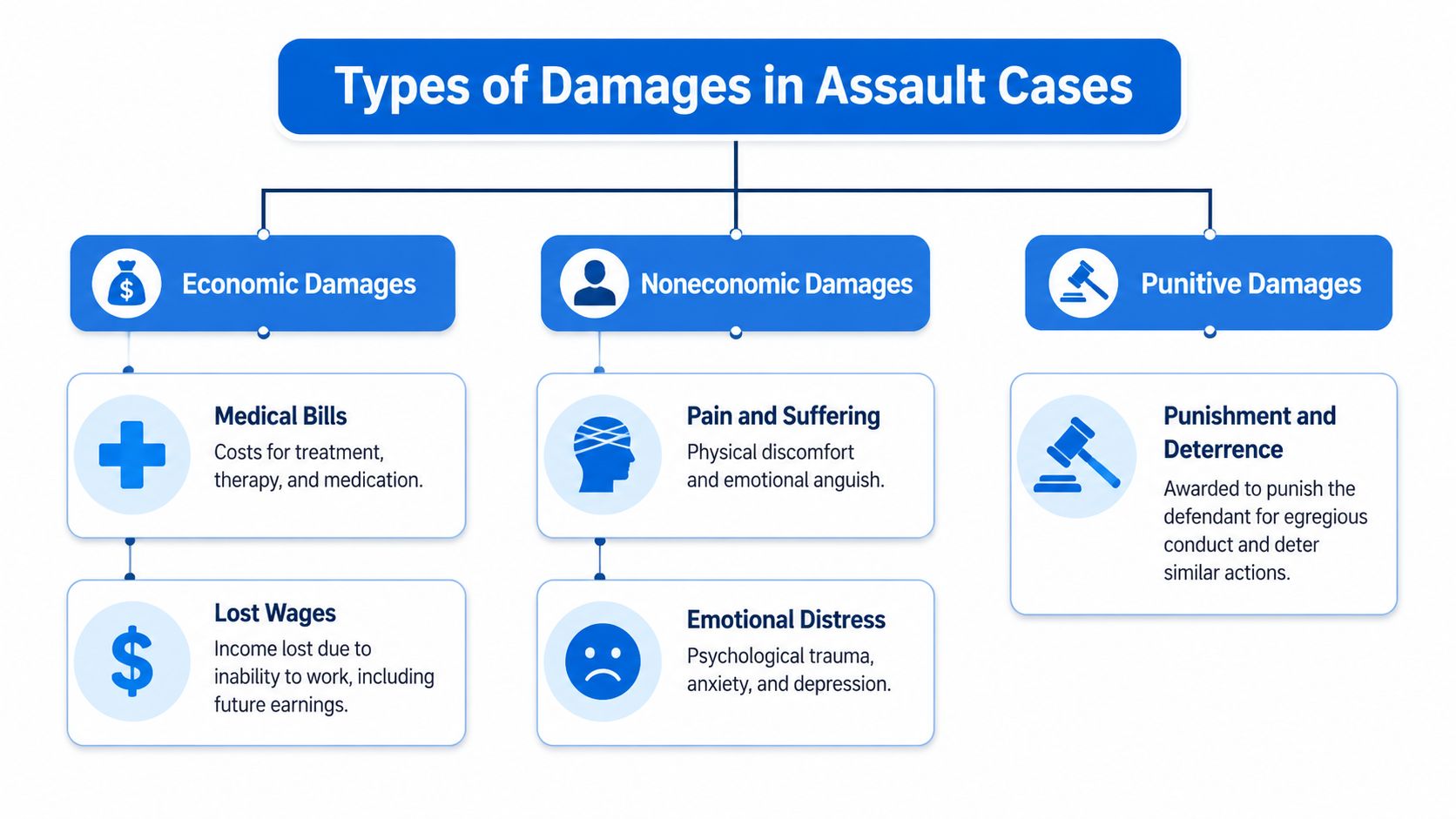 An infographic showing types of damages in assault cases including economic, noneconomic, and punitive damages.